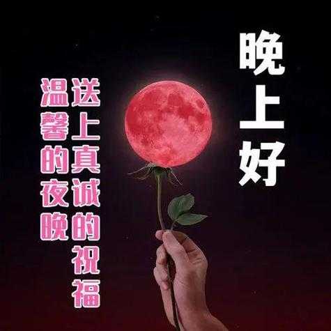 2025年最新晚上好图片资源全攻略