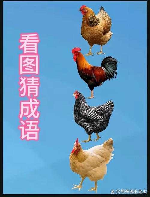 2025年最新盘点 图上有鸡和虫的成语大全