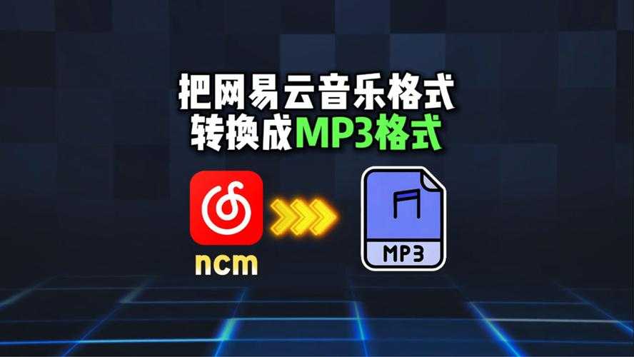 2025年最新网易云音乐视频下载指南