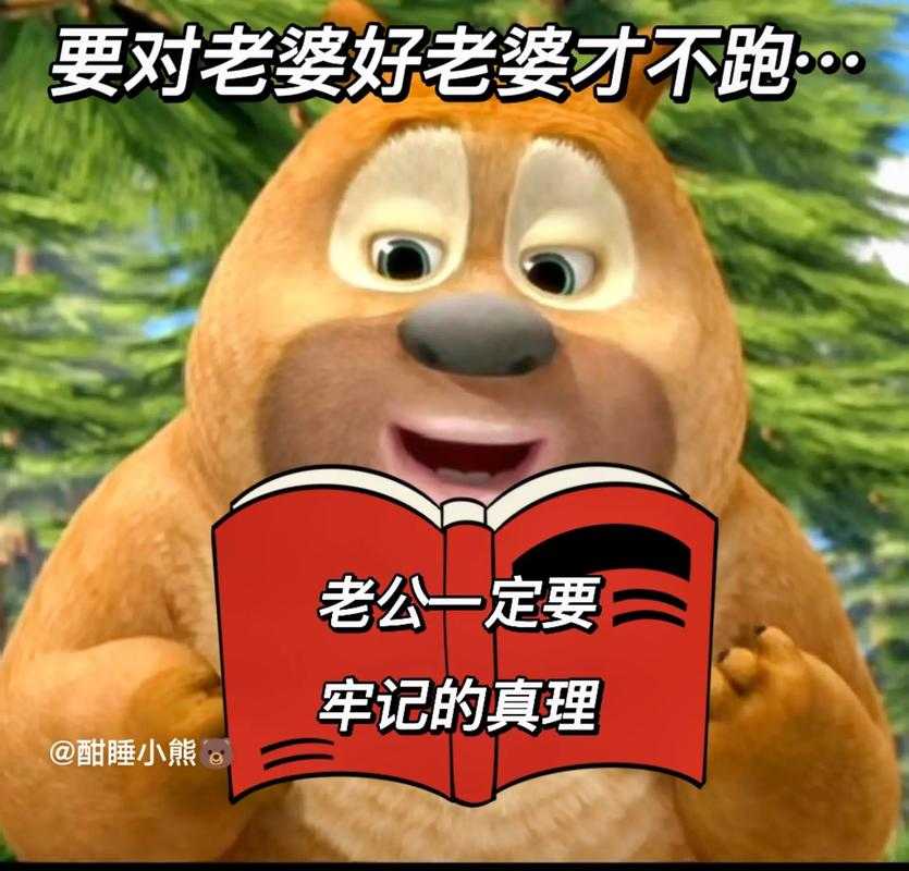 2025年最新老公掉了表情包生存指南