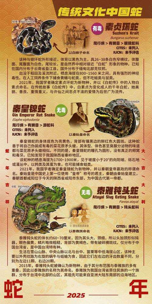 2025年最新考古发现 石炭纪远古蛇的生存密码