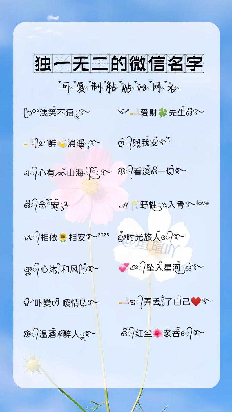2025年最新范字系微信昵称创意指南