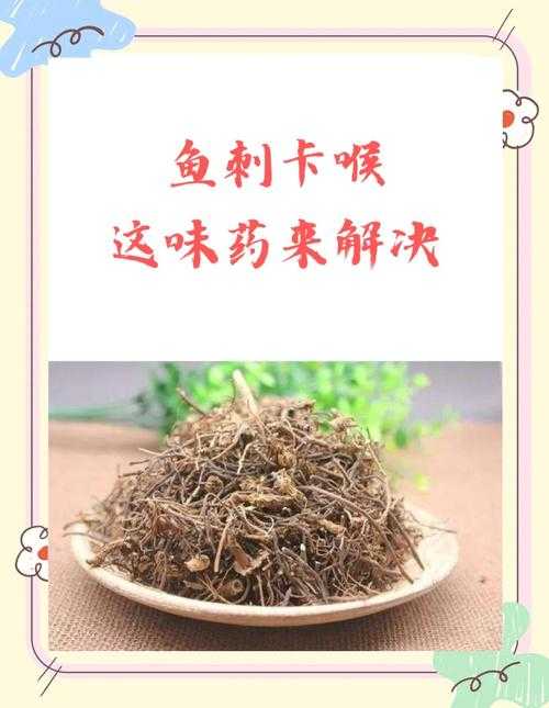 2025年最新鱼刺卡喉应急处理指南 附权威数据对比