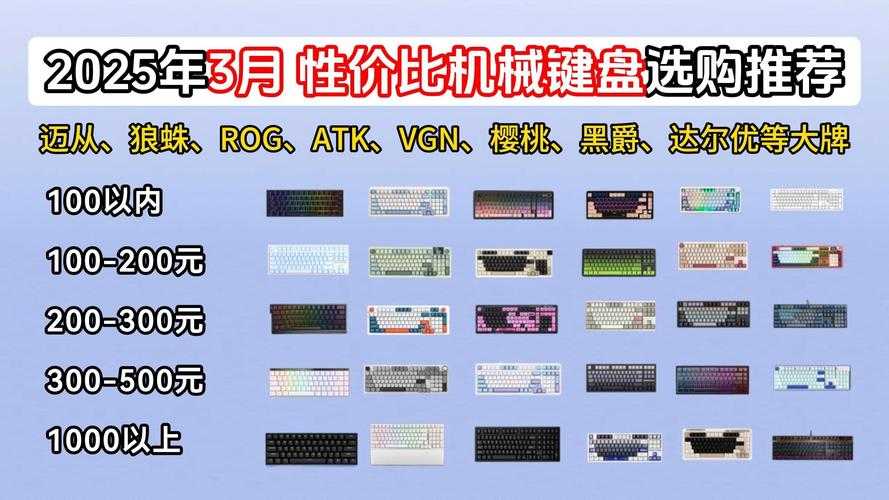 2025年机械键盘选购全指南 实测对比与真实玩家经验