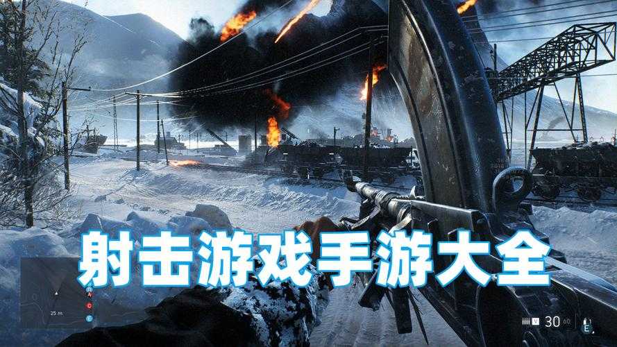 2025年枪战手游生存指南 四大热门作品深度解析