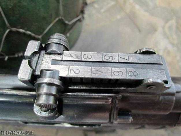 2025年枪械测评 STG44与AK 47的深度对决