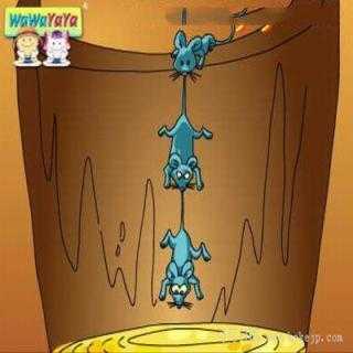 2025年校园里的老鼠偷油新玩法